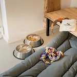 Appartement Schnurrum *