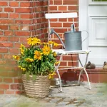 Schnurrum Appartement