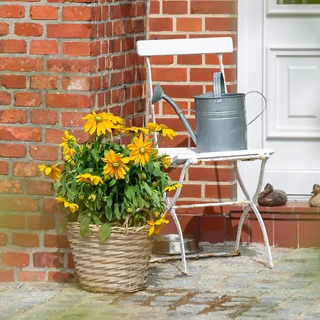 Schnurrum Apartmán